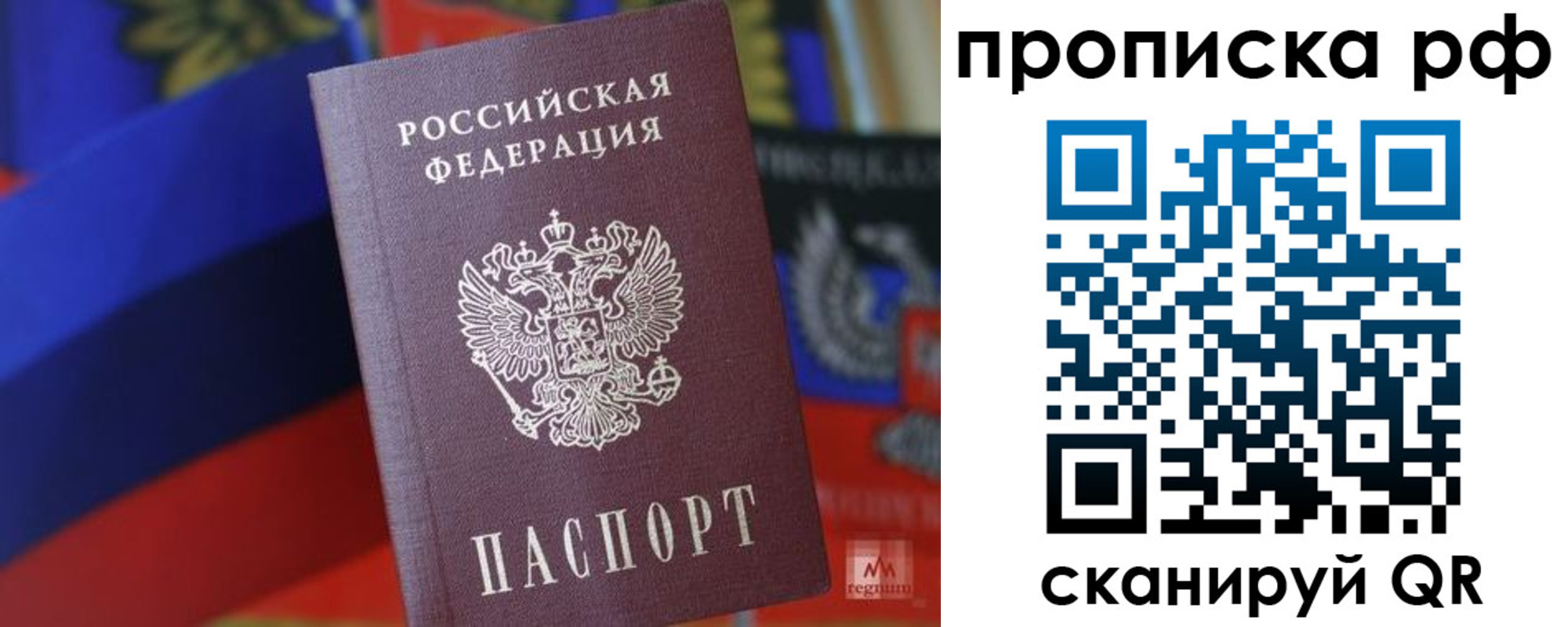 временная регистрация надежно в Волосово